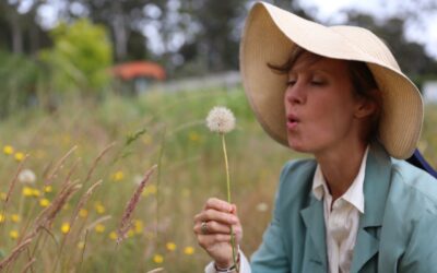 Lucinda Giblett – Stellar Violets