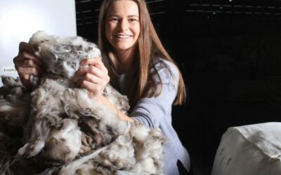 Amelia Nolan – The Livestock Collective