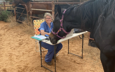 A Lifetime of Caring for Animals and Their People